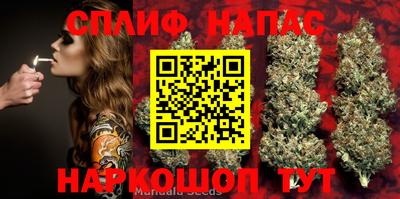 MESCALINE Гай