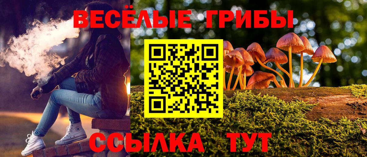 Арсеньев  Псилоцибиновые грибы GOLDEN TEACHER  Вход с VPN 