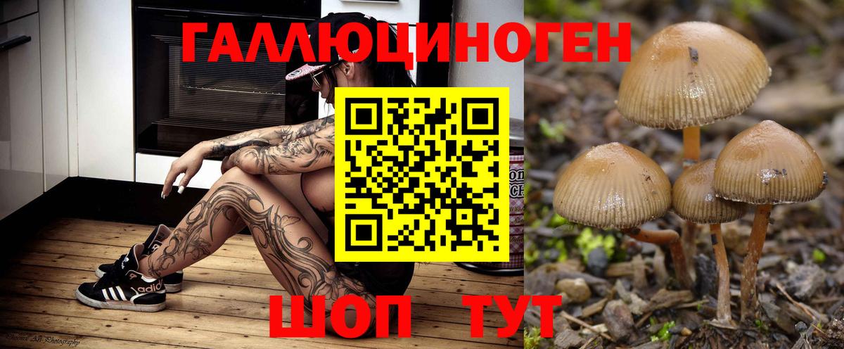 Меф МЯУ МЯУ   Cocaine  Арсеньев  Мефедрон  Вход с VPN  ГАШИШ  Бошки Шишки 