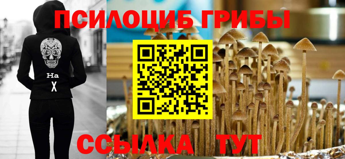 Галлюциногенные грибы прущие грибы Арсеньев
